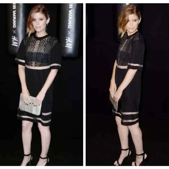 Alexander Wang X H&M NWOT Perforated Sheer Mesh Panel Black Dress S Italy Made - Picture 6 of 16